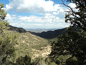 feature photo