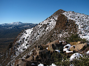 feature photo