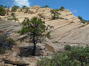 feature photo