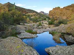 feature photo
