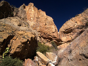 feature photo