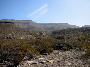 feature photo