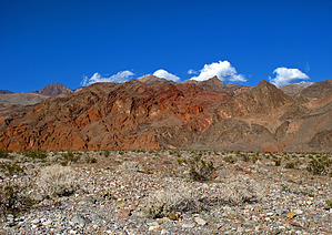 feature photo