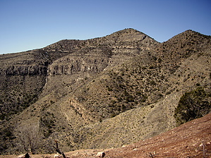 feature photo