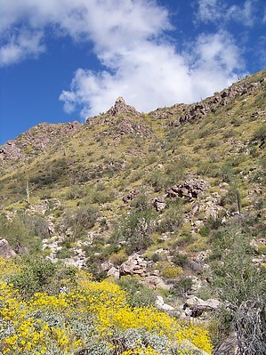 feature photo