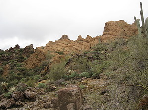 feature photo