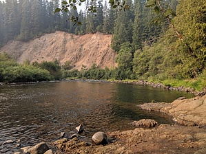 feature photo