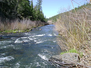 feature photo