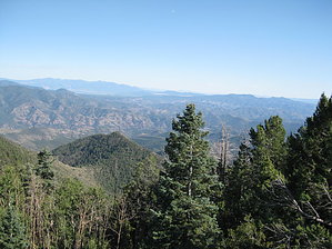feature photo