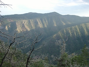 feature photo