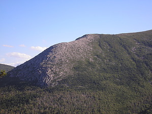 feature photo