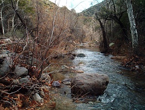 feature photo
