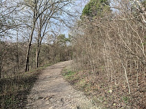 feature photo