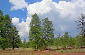 feature photo
