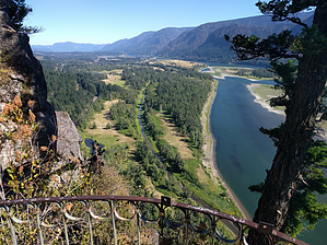 feature photo