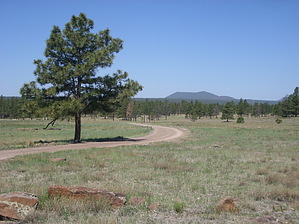 feature photo