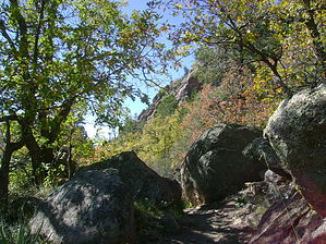 feature photo