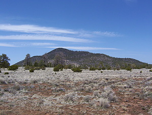 feature photo