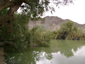 feature photo