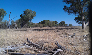 feature photo