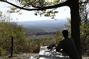 feature photo