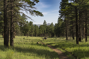feature photo