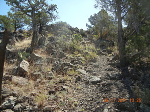 feature photo