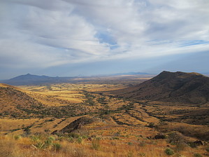 feature photo