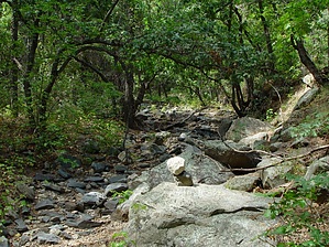feature photo