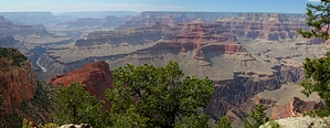 feature photo