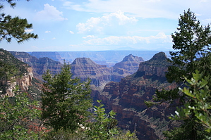 feature photo