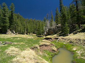 feature photo