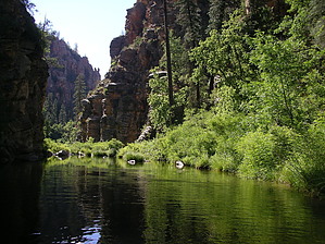 feature photo