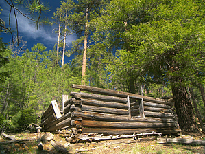 feature photo