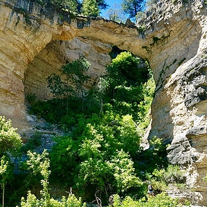 feature photo