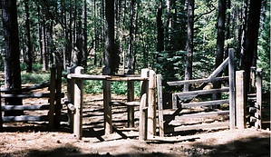 feature photo