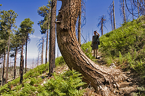 feature photo