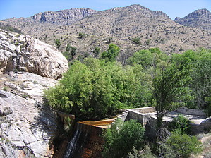feature photo