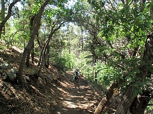 feature photo