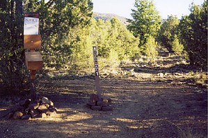 feature photo