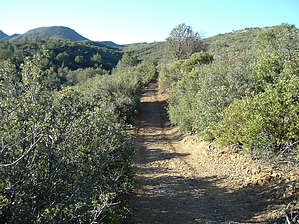 feature photo