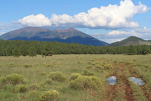 feature photo
