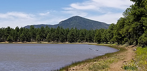 feature photo