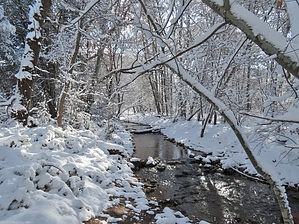 feature photo