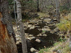 feature photo