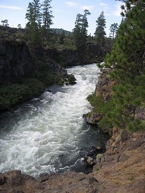feature photo