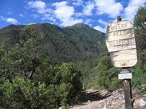 feature photo
