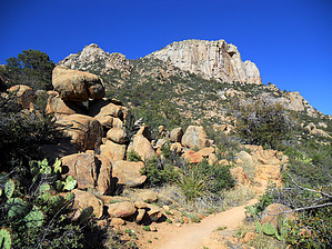 feature photo
