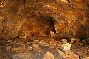 feature photo