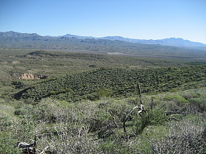 feature photo